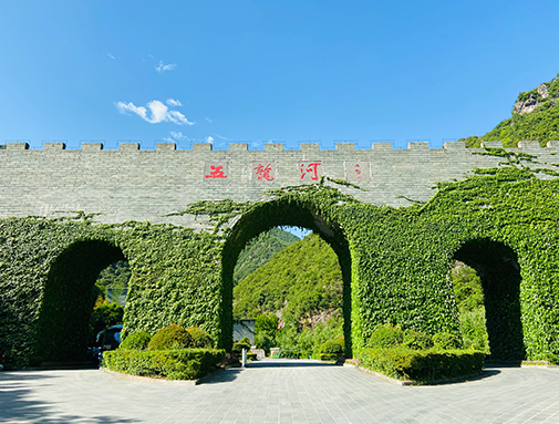 ��Ȼ���ɡ��������Ӿ���