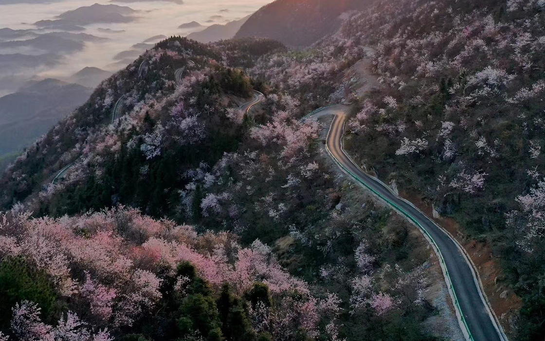 �Ӵ�����welcome888����(�й�)���޹�˾����