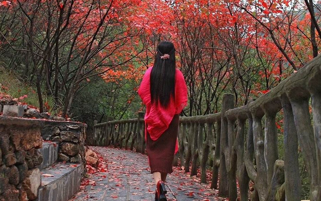 �Ӵ�����welcome888����(�й�)���޹�˾����