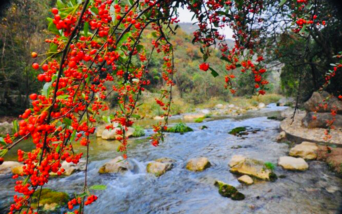 �Ӵ�����welcome888����(�й�)���޹�˾����