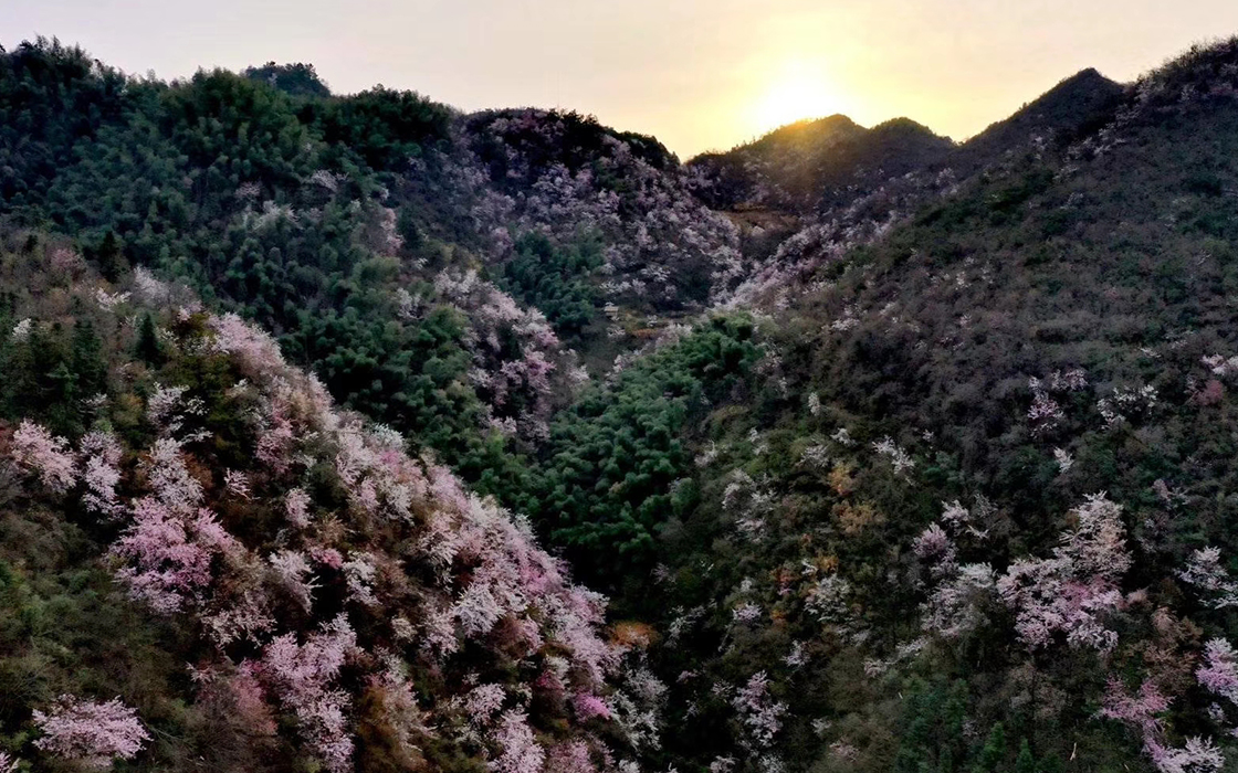 �Ӵ�����welcome888����(�й�)���޹�˾����