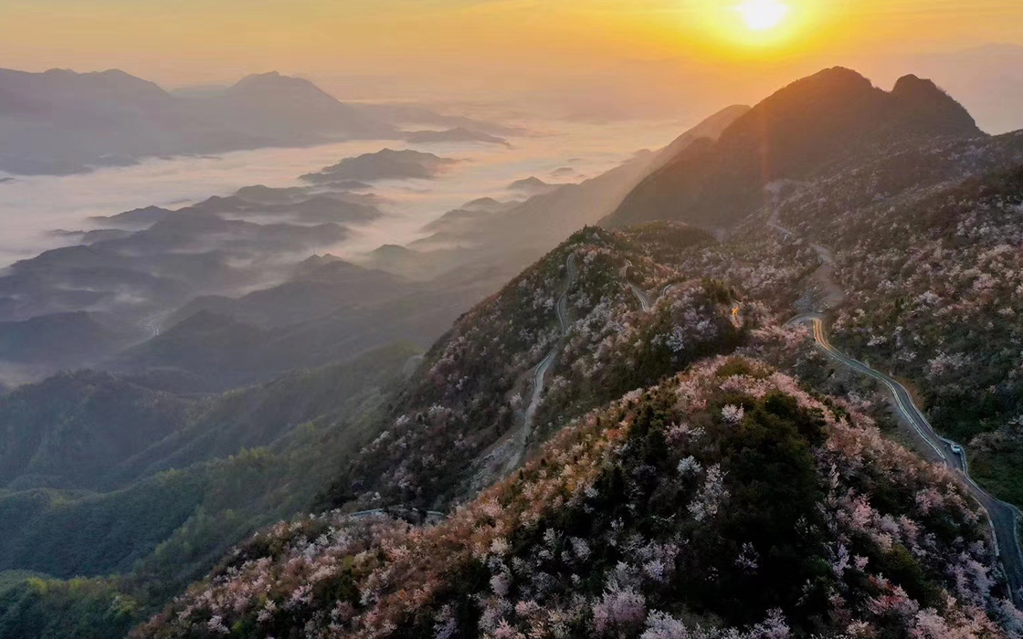 �Ӵ�����welcome888����(�й�)���޹�˾����