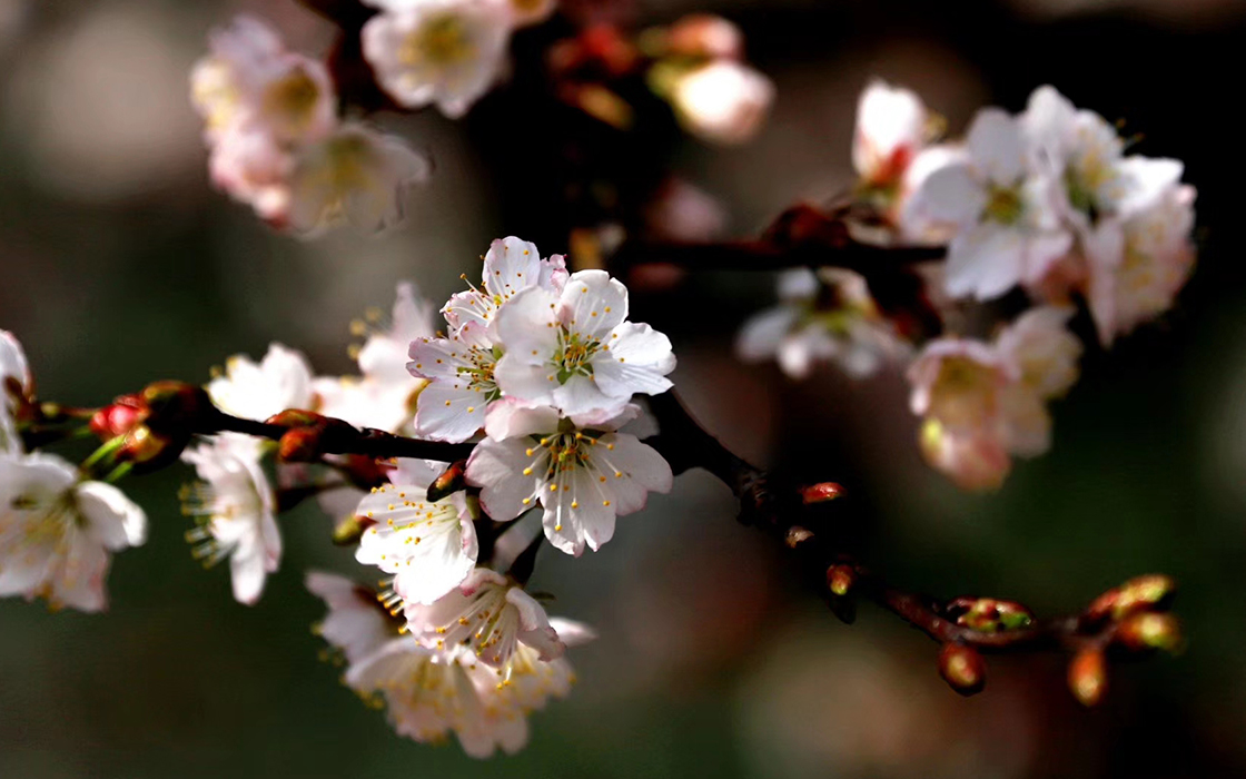 �Ӵ�����welcome888����(�й�)���޹�˾����