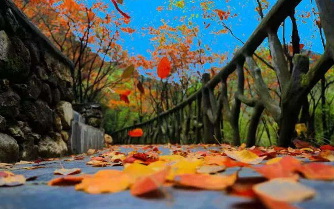 �Ӵ�����welcome888����(�й�)���޹�˾����