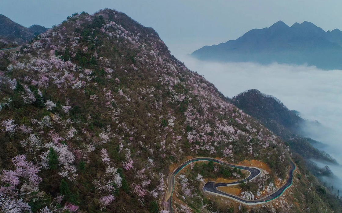 �Ӵ�����welcome888����(�й�)���޹�˾����