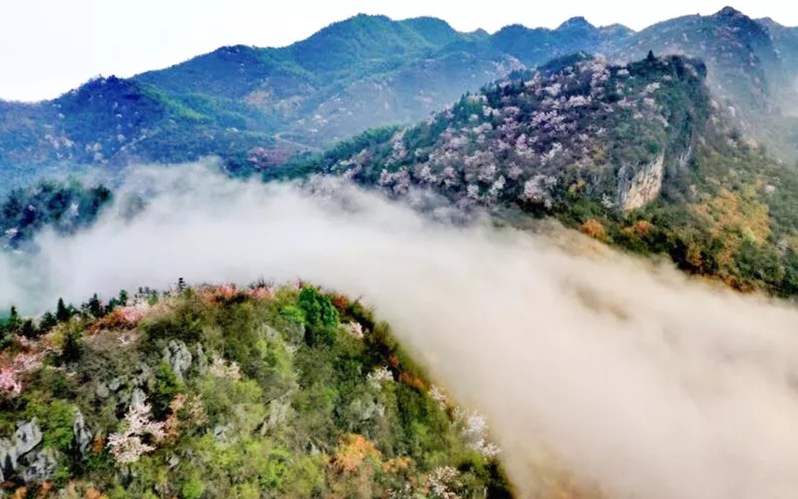 �Ӵ�����welcome888����(�й�)���޹�˾����