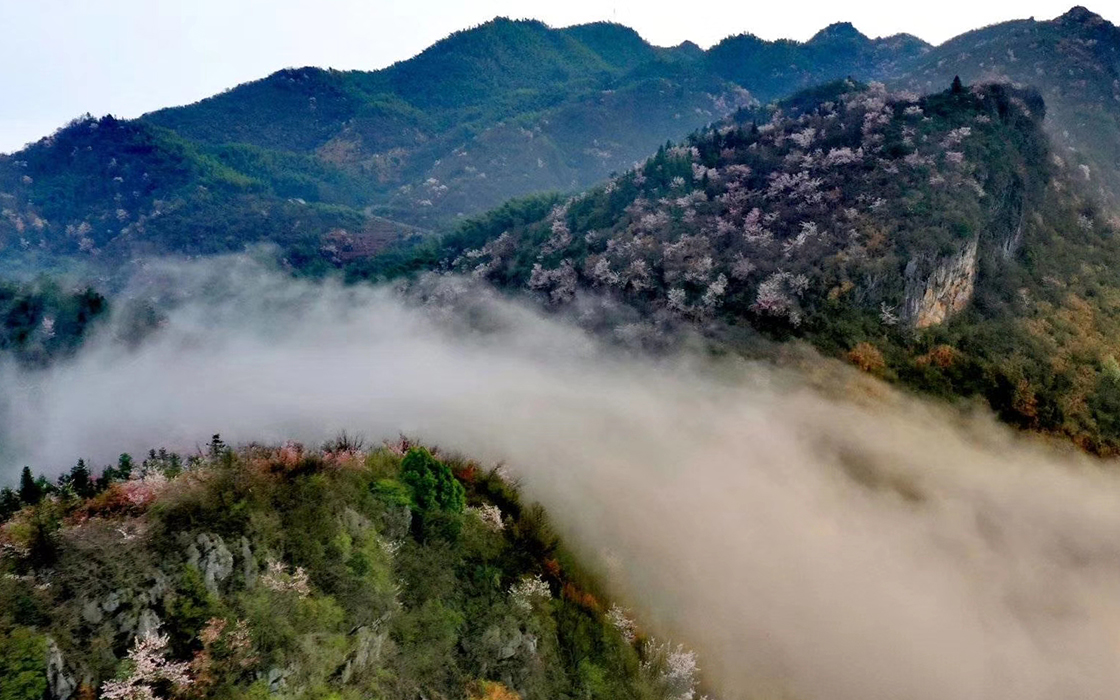 �Ӵ�����welcome888����(�й�)���޹�˾����