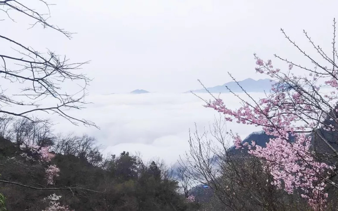 �Ӵ�����welcome888����(�й�)���޹�˾����