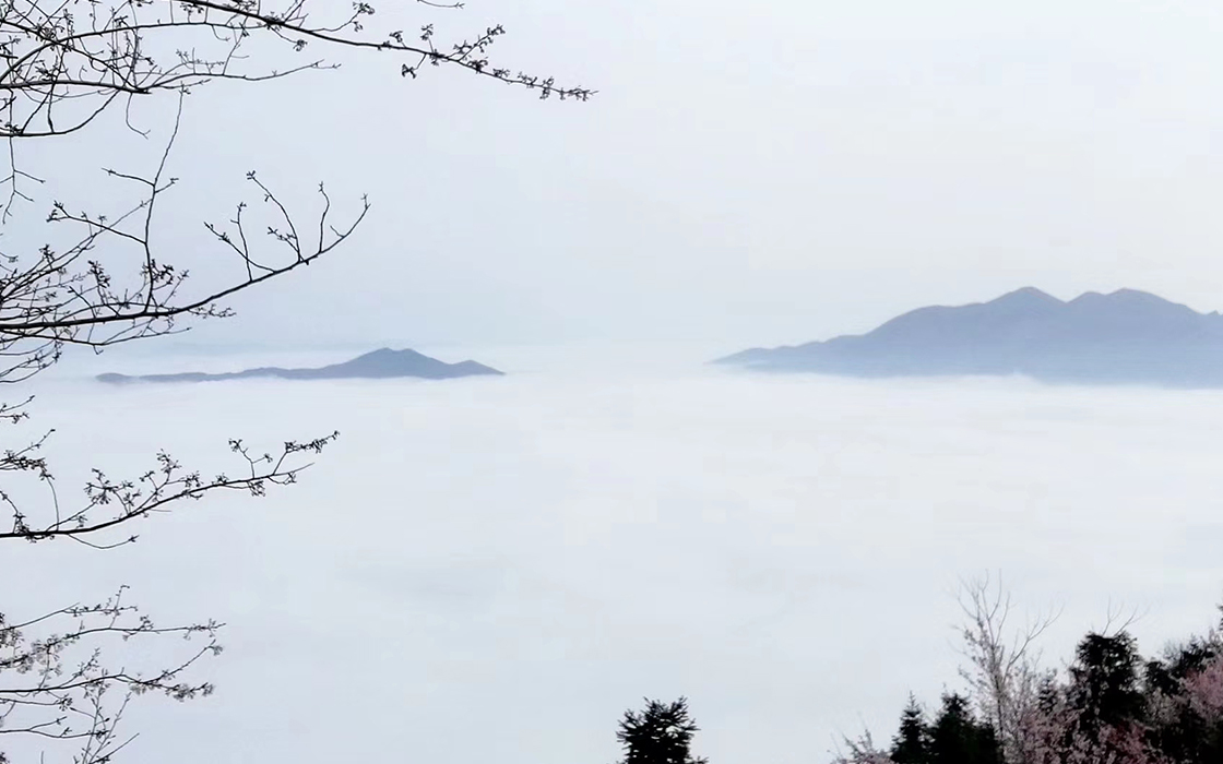 �Ӵ�����welcome888����(�й�)���޹�˾����