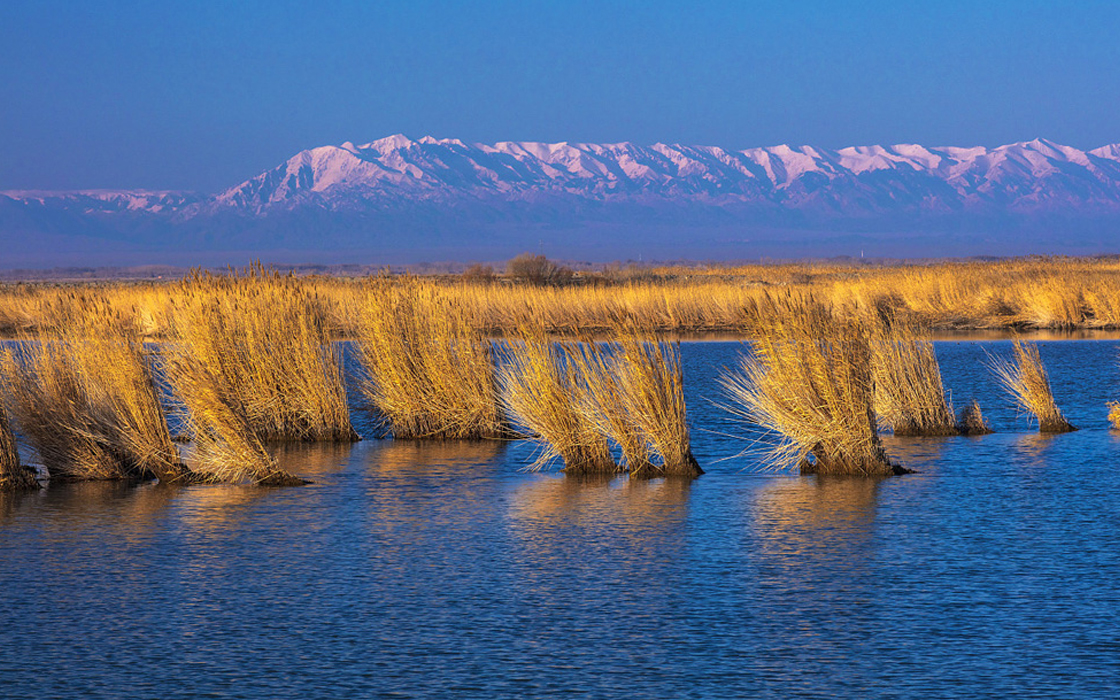 �Ӵ�����welcome888����(�й�)���޹�˾����