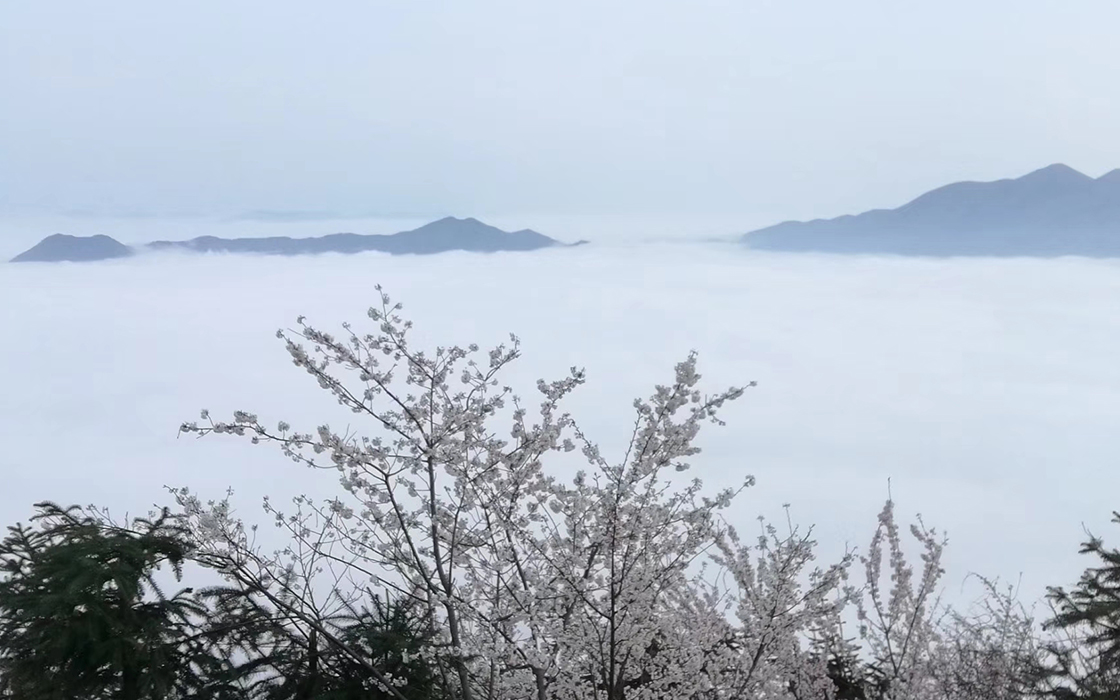 �Ӵ�����welcome888����(�й�)���޹�˾����