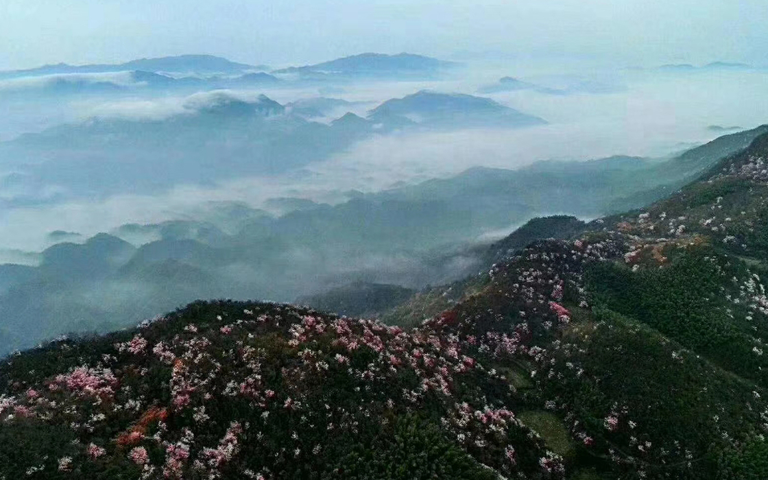 �Ӵ�����welcome888����(�й�)���޹�˾����