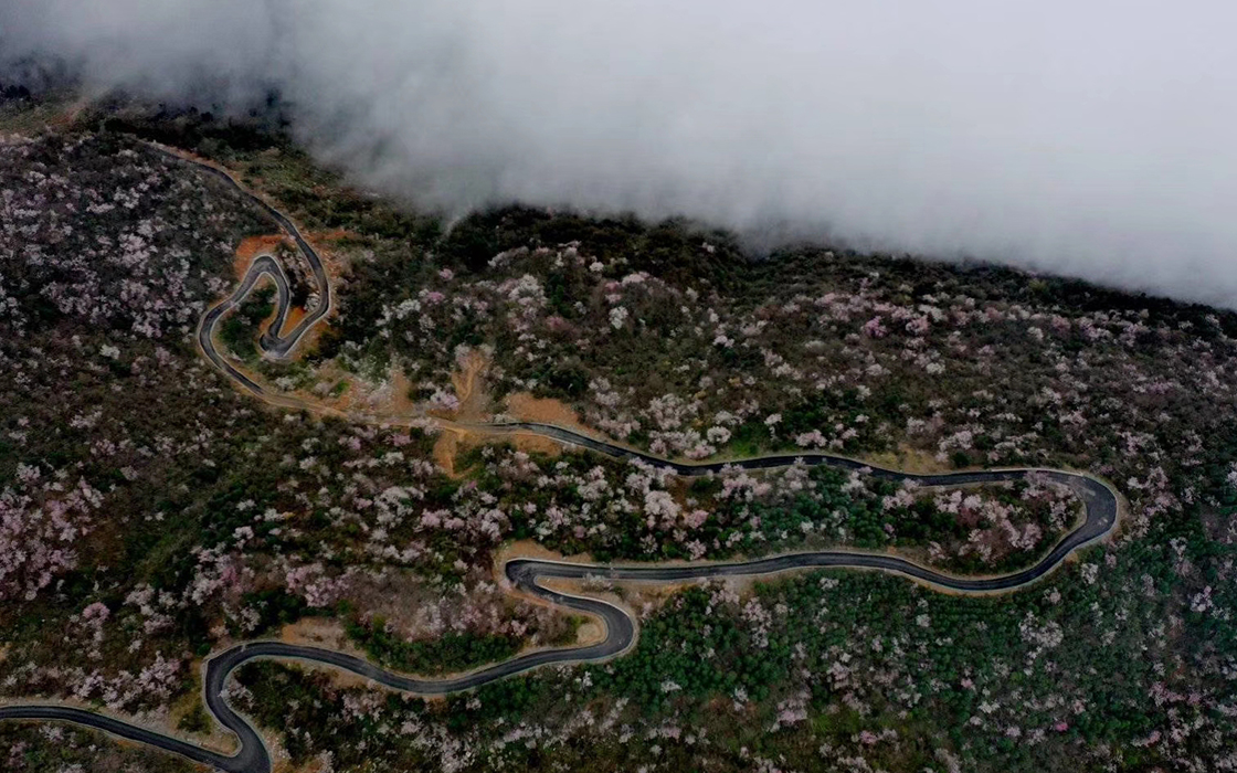 �Ӵ�����welcome888����(�й�)���޹�˾����