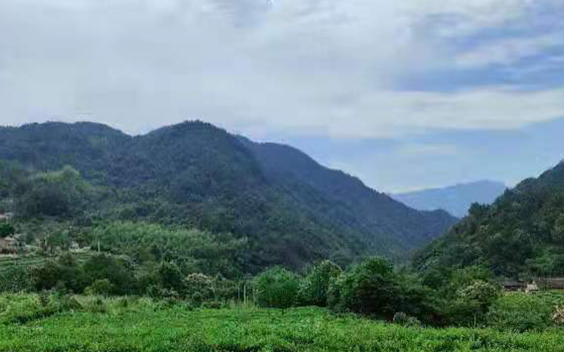 �Ӵ�����welcome888����(�й�)���޹�˾����