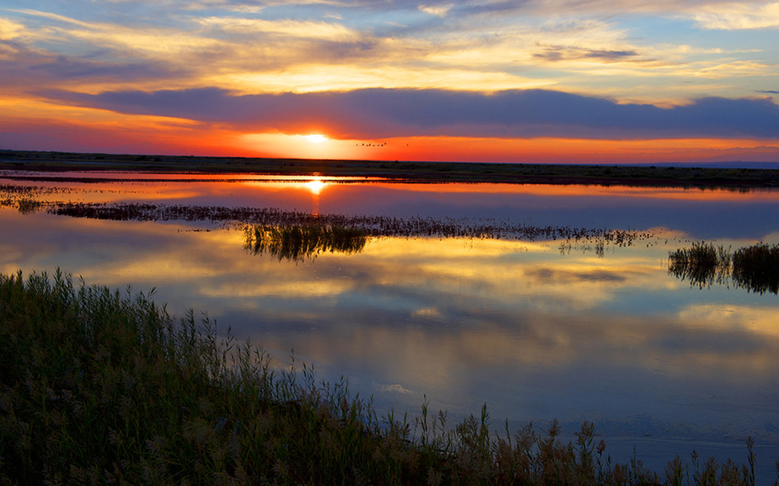 �Ӵ�����welcome888����(�й�)���޹�˾����