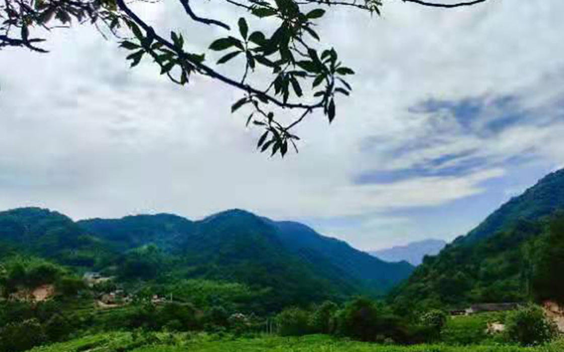 �Ӵ�����welcome888����(�й�)���޹�˾����